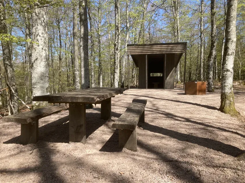 Vindskydd, grillplats och bänkbord med skog runtomkring