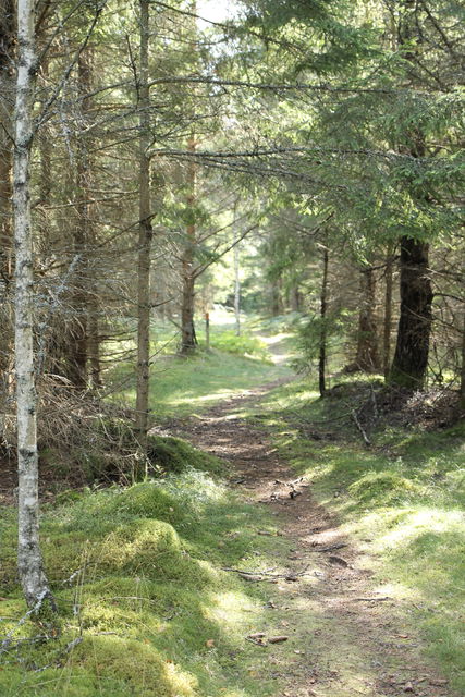 Foto: Josefine Gustafsson