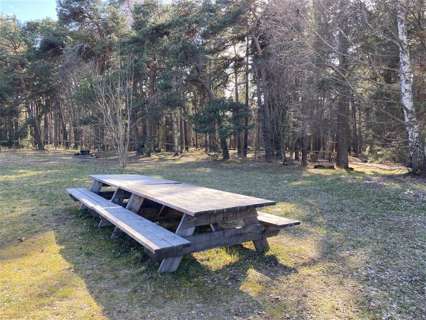 Ett bänkbord står på en gräsyta med skog i bakgrunden.