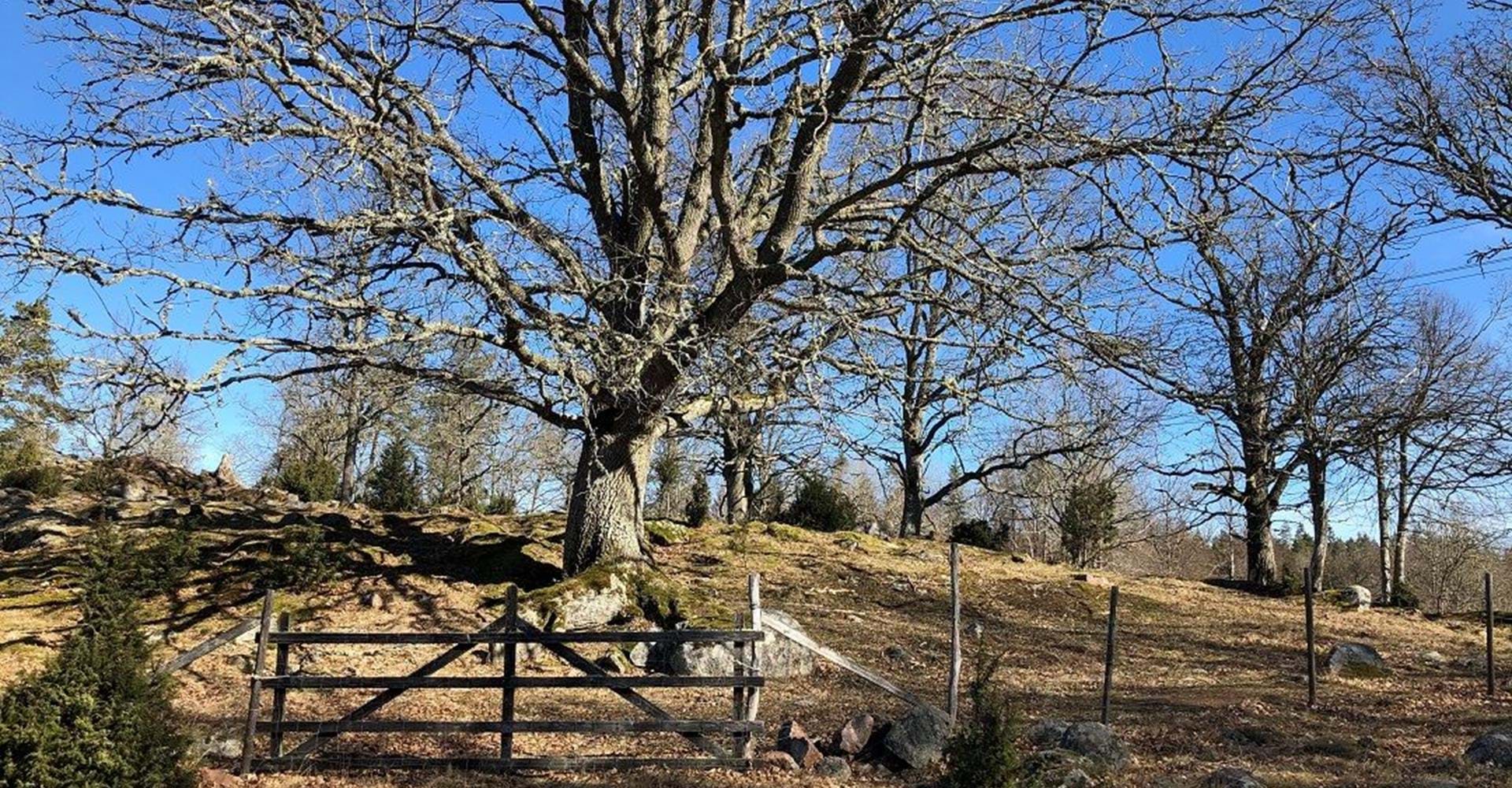 Bösemålens odlingslandskap. 
Etapp: Boxholm-Trehörna. 
Boxholm. 