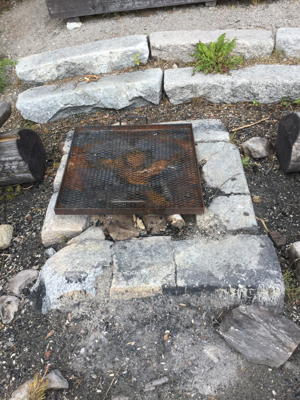 Grill