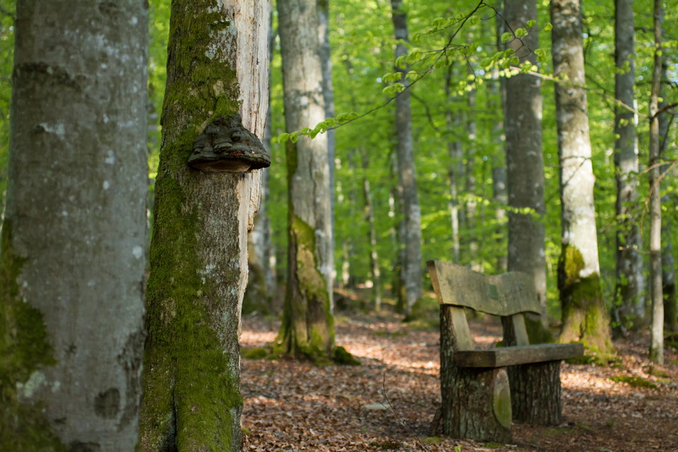 Fotograf: Erika Gülich