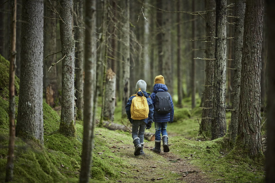 Två barn går i en skog.