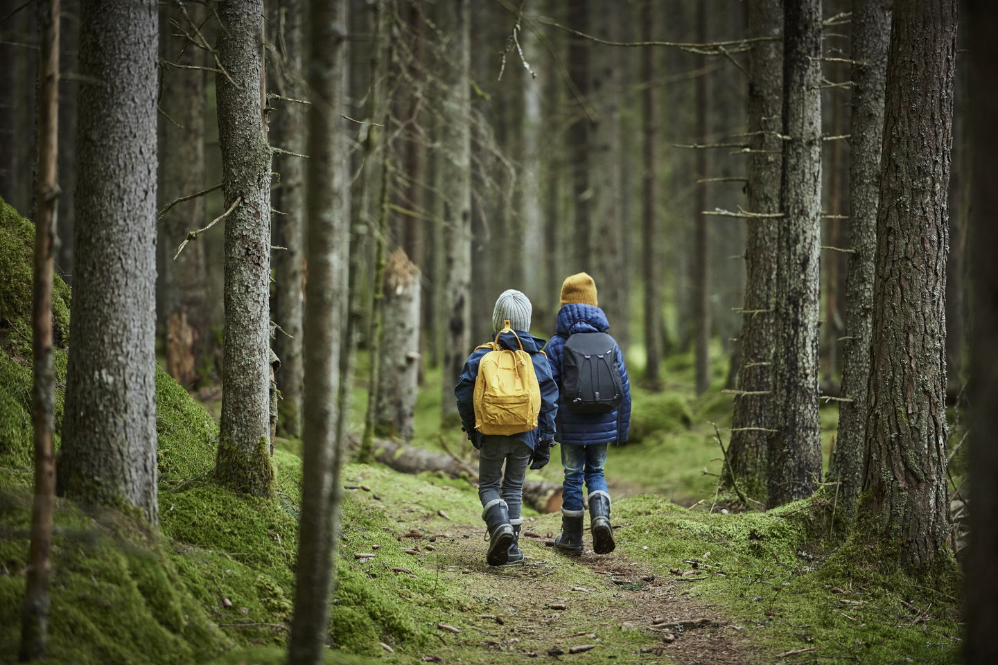 Två barn går i en skog.