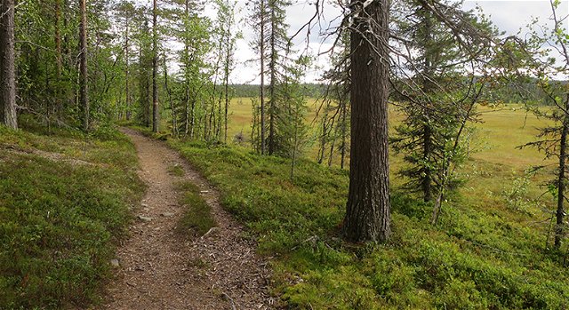 Trail "Four wheel-trail", Kronogård