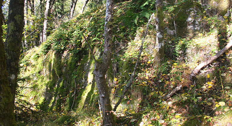 Myrbråten, Naturreservat