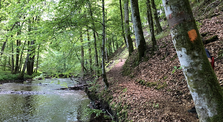 Skåneleden  mellan Vantalängan och Alunbruket.
