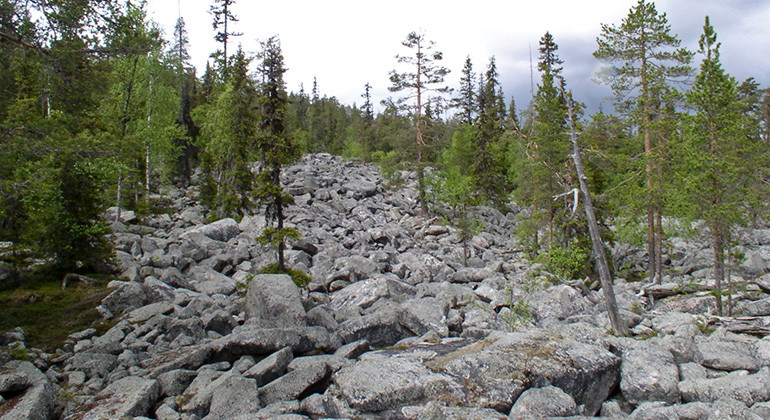 präglas av rösberg och gamla tallar.