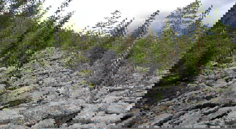 präglas av rösberg och gamla tallar.