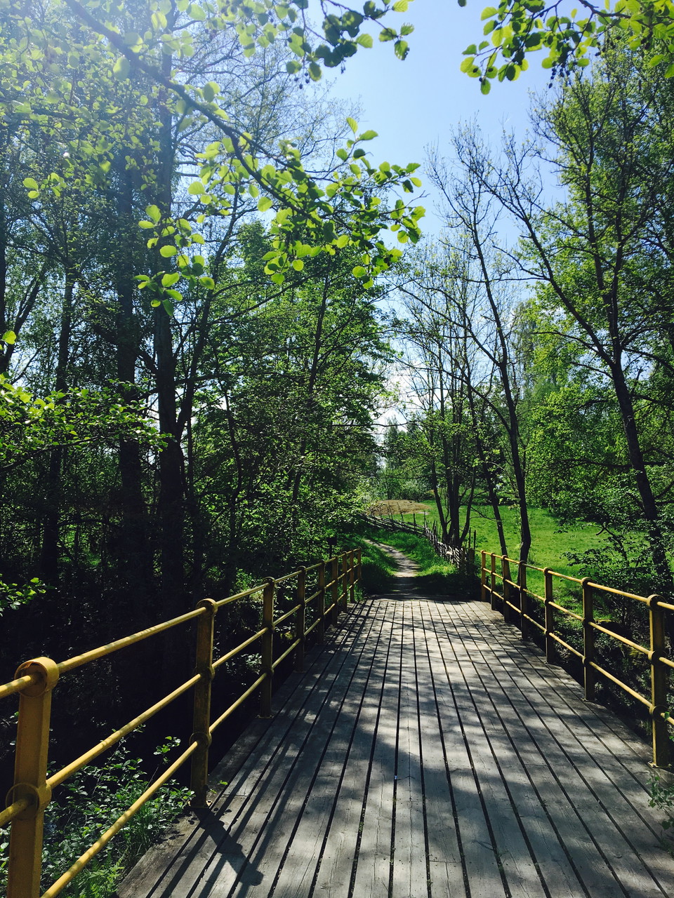 Bild på bro över Svartån 