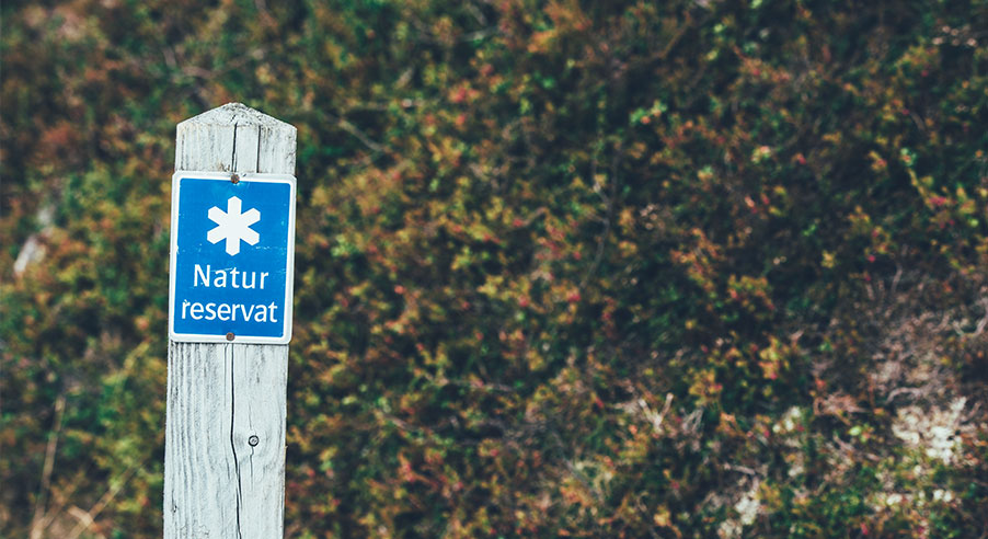 Bild från reservatet saknas.