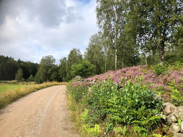 Ljungskile-Kolhättan, Kuststigen, etapp 5