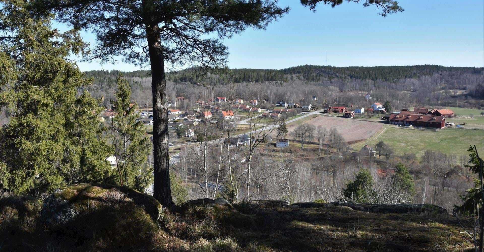 Falerum, startplats