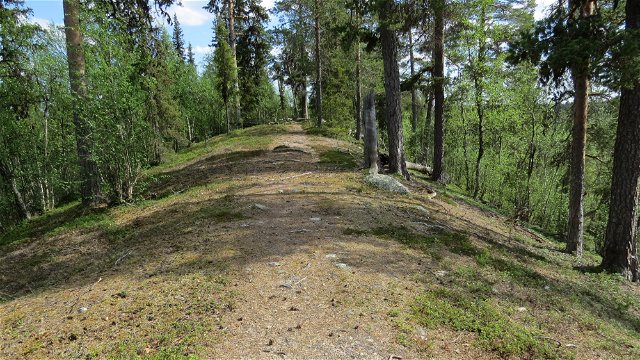 Trail Sárggavárre-Boargáljávrre, Muttosbálges/the Muddus Trail