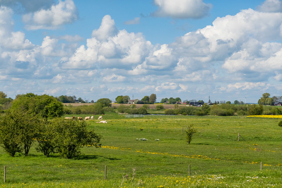 betesmark med vattenyta i fjärran