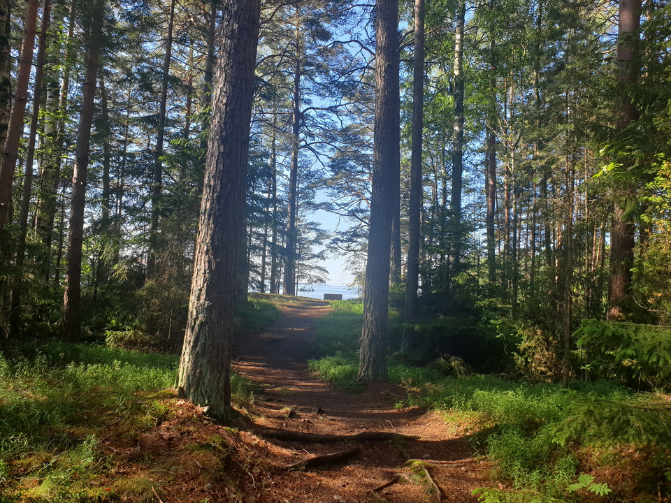 Vandra på öar i Vänern
