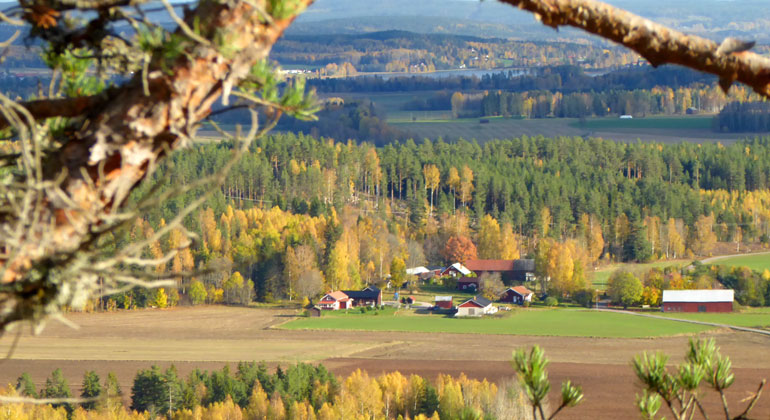 Med hjälp av en bra kikare kan man se långt bort över åkrar och gårdar.