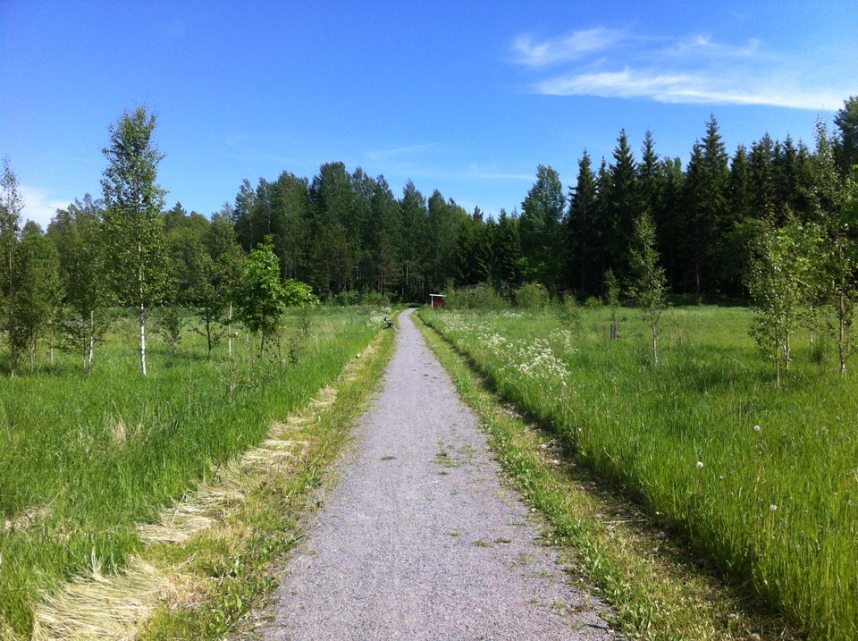 En bred grusad stig med ängar och skog runtom.