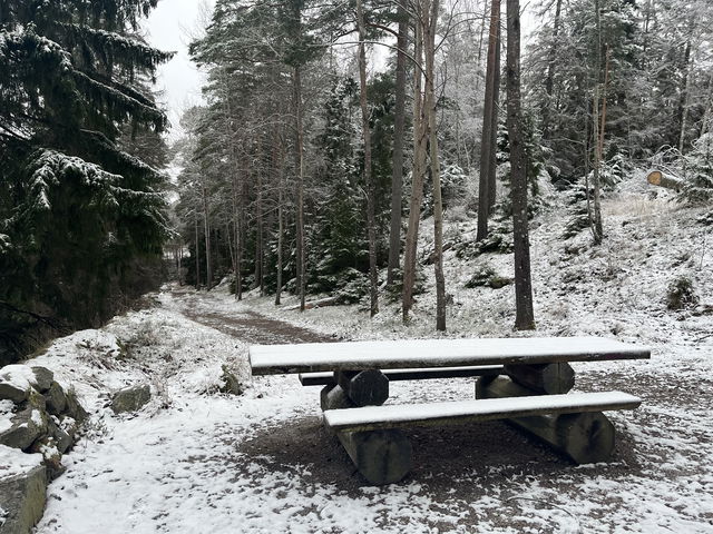 Rastplats Dalkarlsbacken