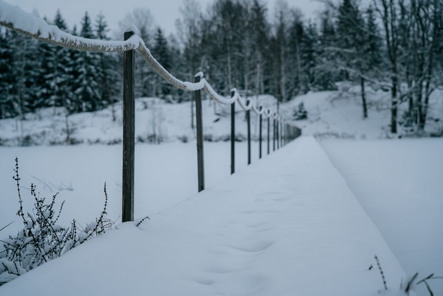 Rundslingor vid Ullaberg och Mossen