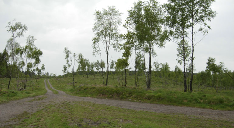 grusvägar som möts