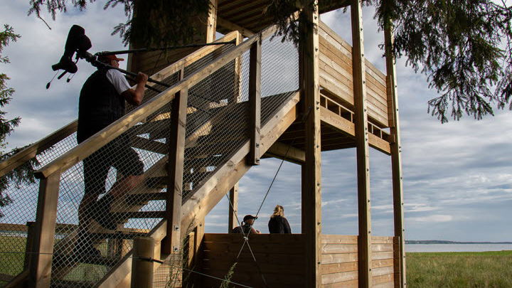 Naturreservat Dättern