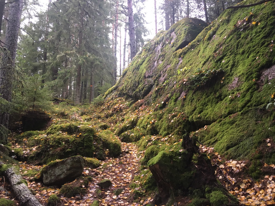 Hösten är vandringens tid!