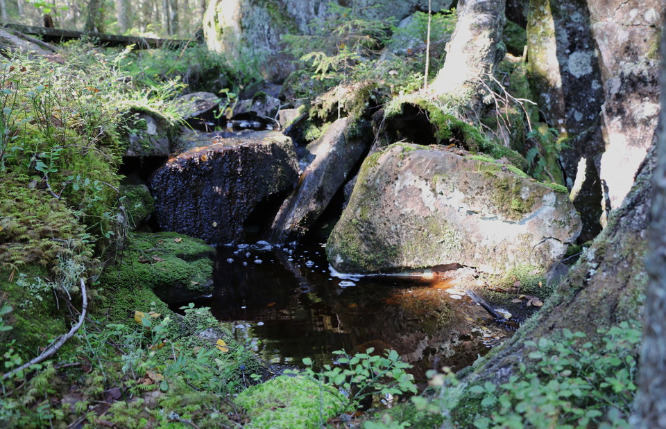 Bäck som rinner nedför stenar.