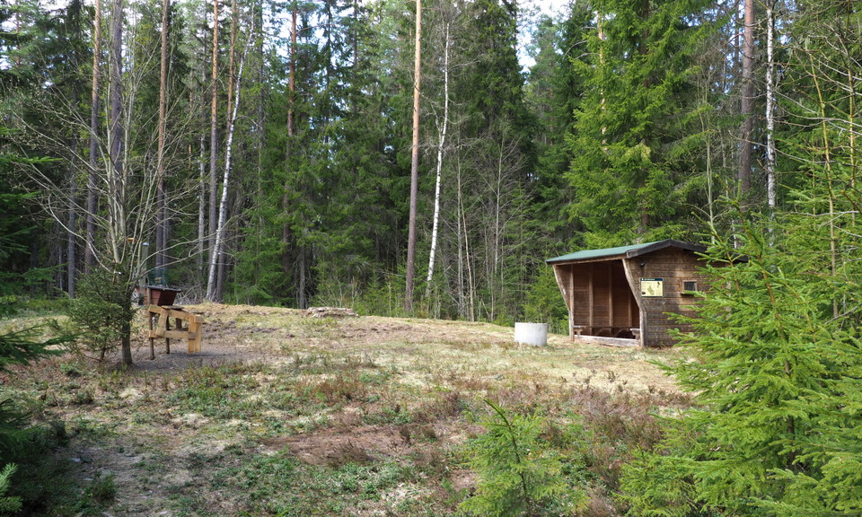Slogbod och fågelmating