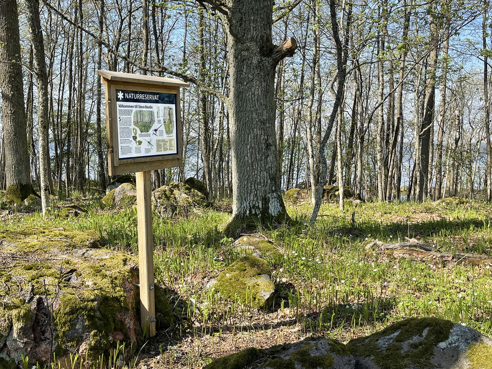 Informationsskylt i vårgrönskande lövskogslandskap.