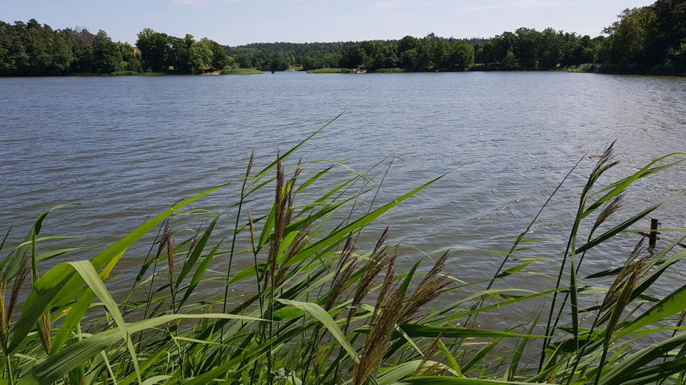Utsikt från bryggan. Foto Lidingö stad