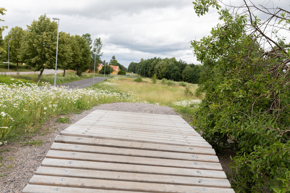 Vy över pumptracken. Första hindret direkt vid starten.