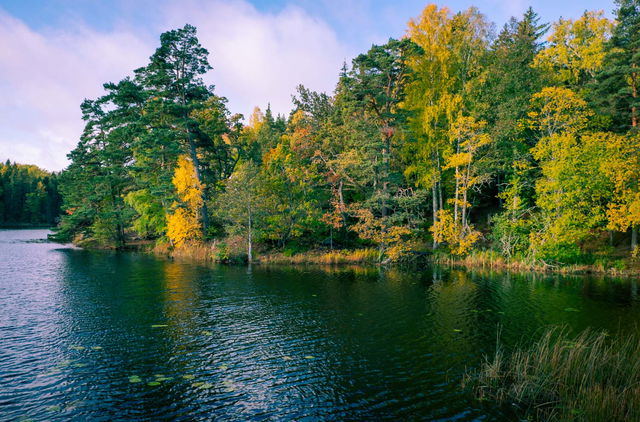 Reflektionsplats 2 - Follbrinkströmmen - Vattnets kraft