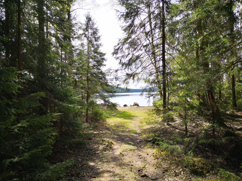Billsjön/Norrdamm