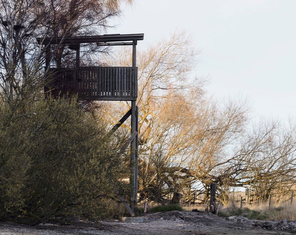 Fågeltorn Stenåsa camping
