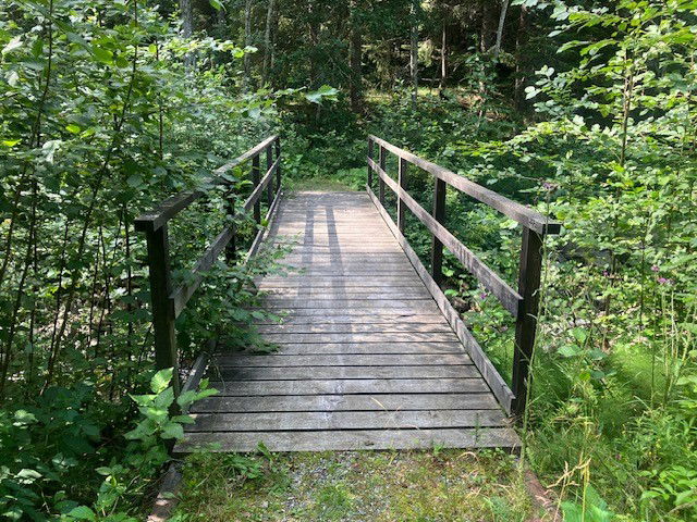 Öjenäsbäcken