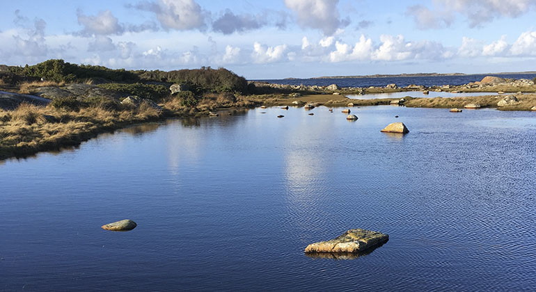 Utsikt in mot land från havet