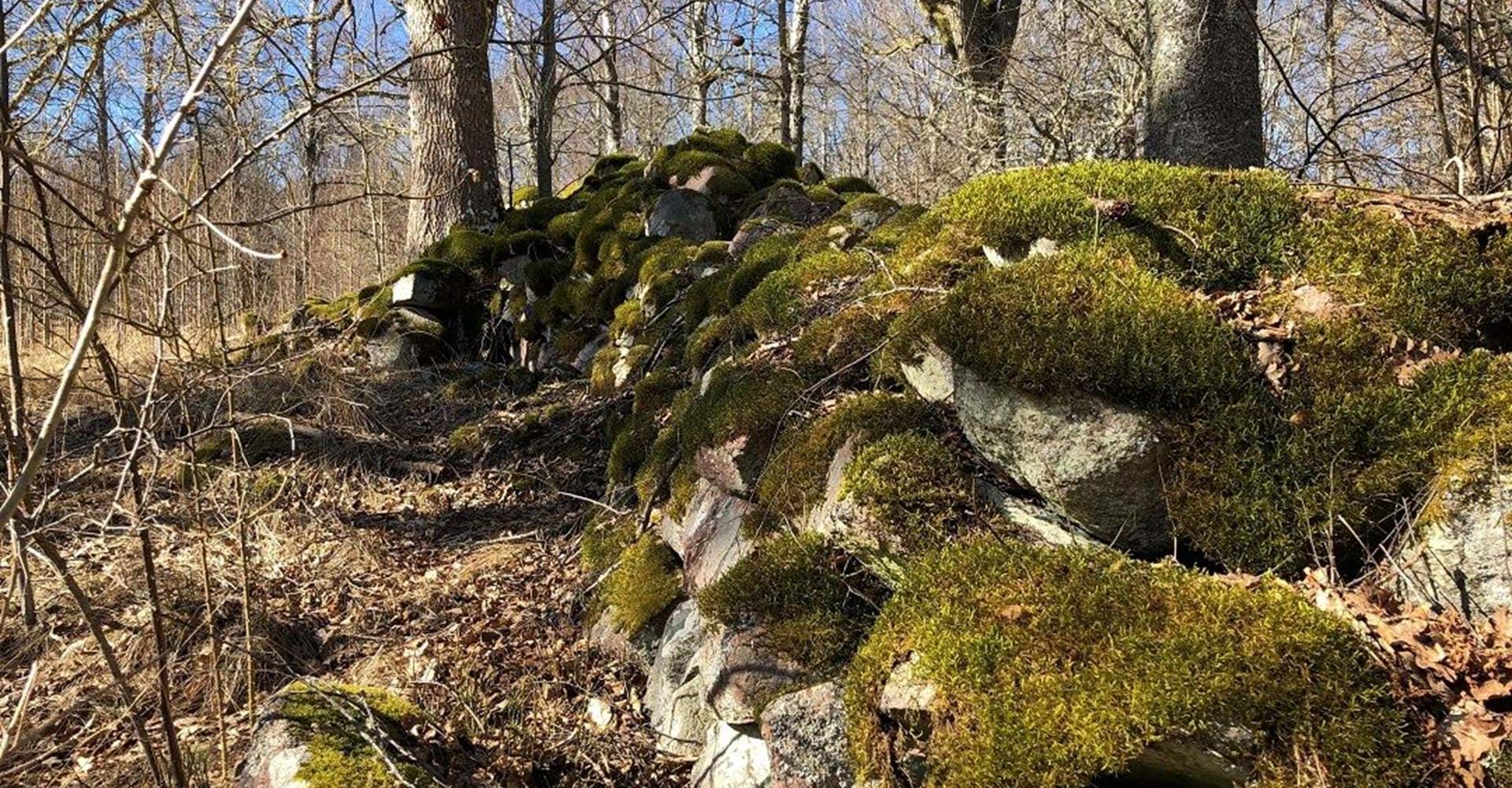 Mosseboborg borgruin
Etapp: Boxholm-Trehörna
Boxholm