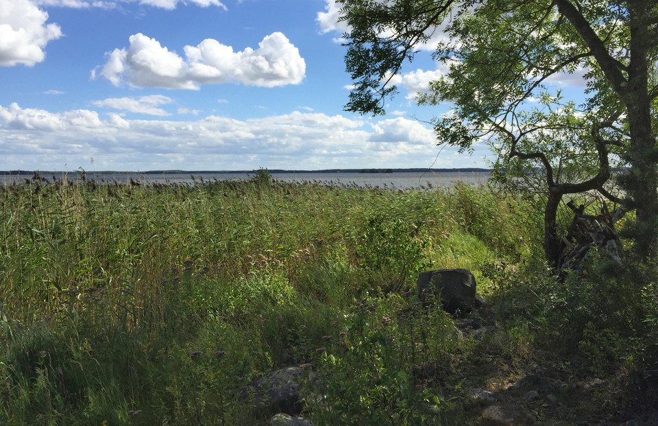 Utsikt över Mälaren vid vindskyddet.