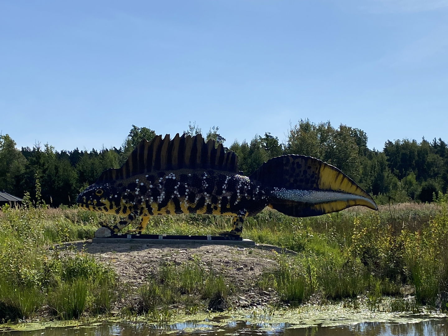 En stor modell av en större vattensalamander