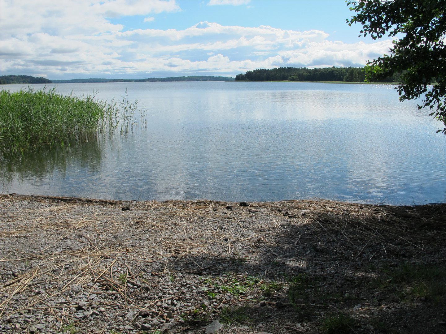 Vid Mälarens strand, Knipskärs udde. 