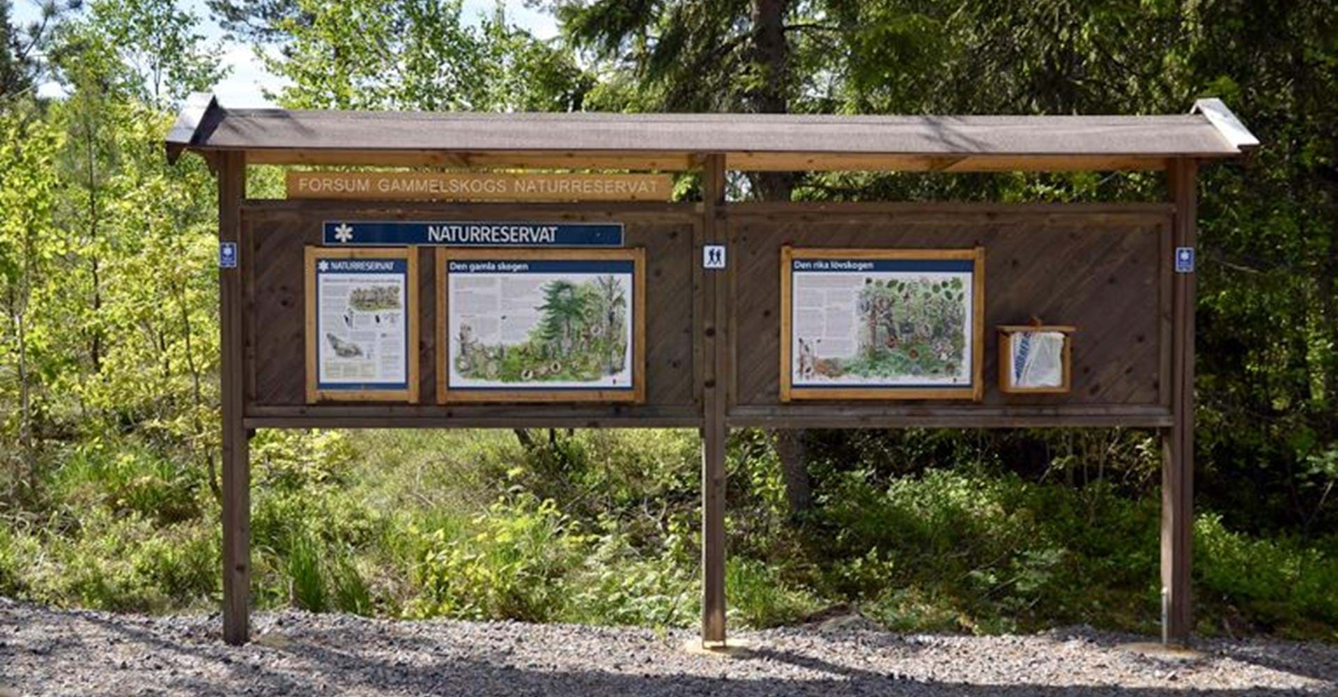 Forsums gammelskog parkering, startplats