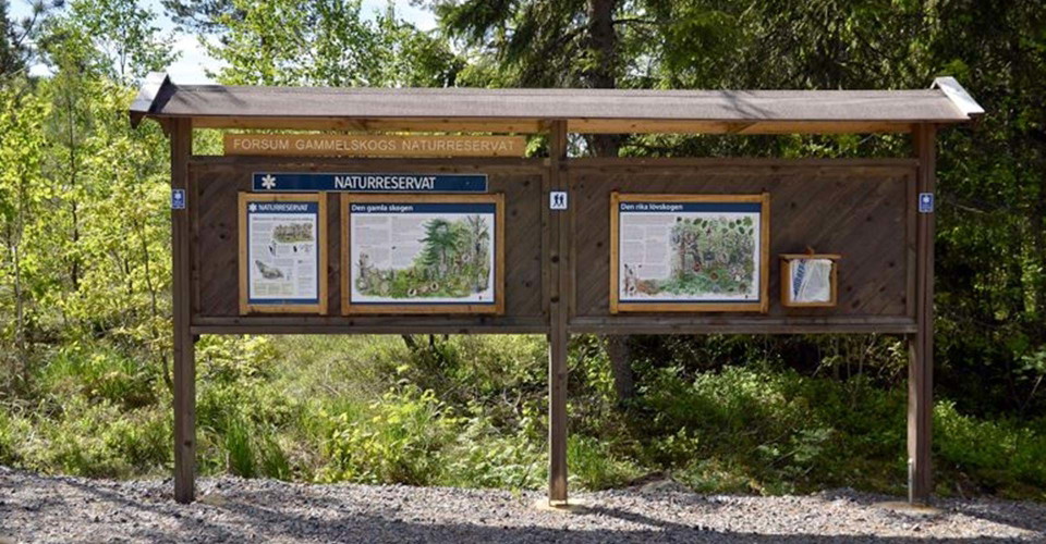 Infotavla vid parkering Forsum gammelskog naturreservat
Etapp: Valdemarsvik Norrut
Valdemarsvik