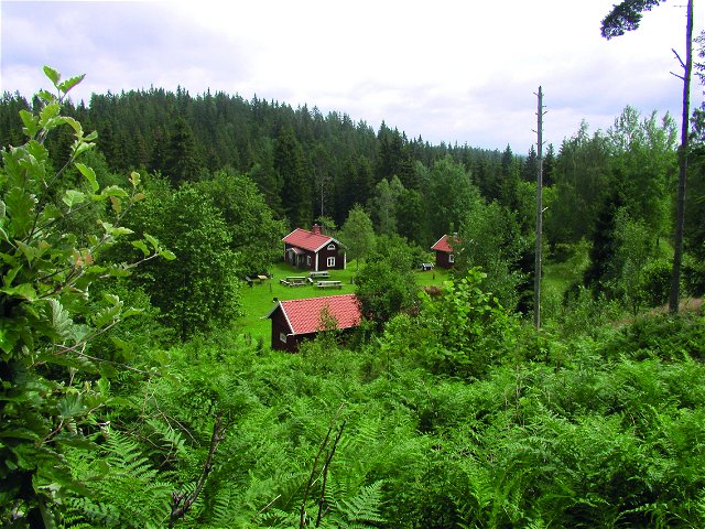 Råbyskogen
