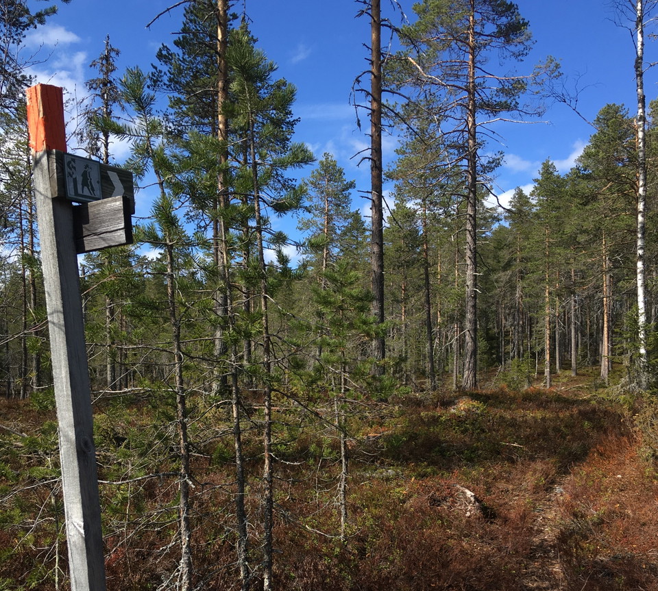 Hemulsjö