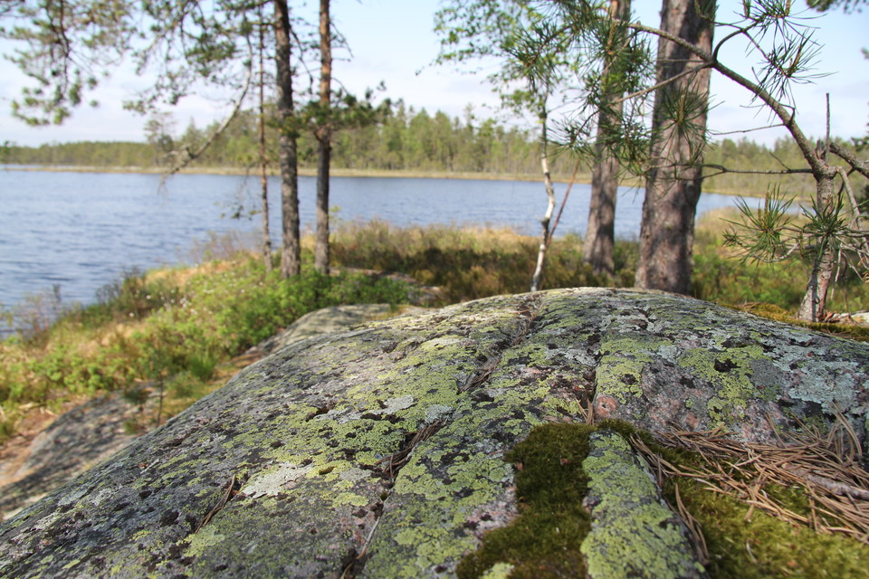 En klipphäll i förgrunden och tjärnen i bakgrunden.