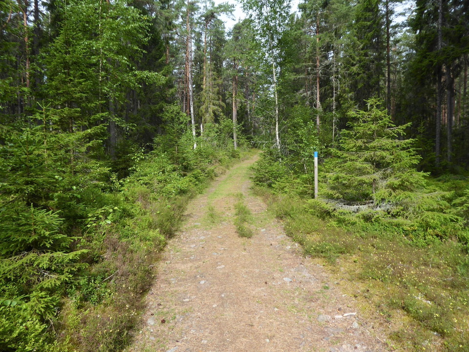 Den blå slinga går delvis på gamla körvägar