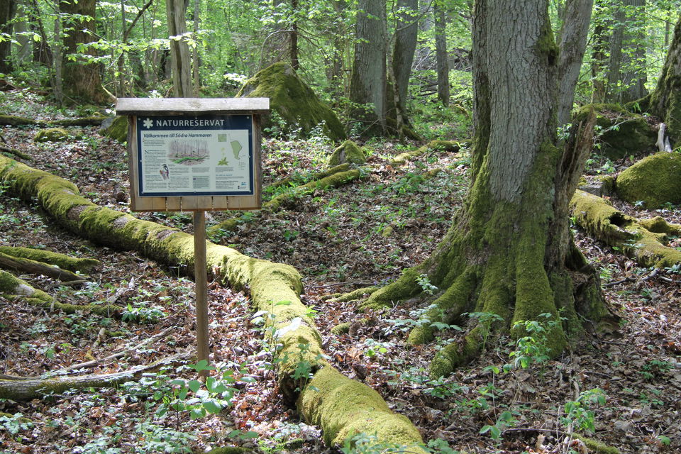 Informationstavla över naturreservatet.