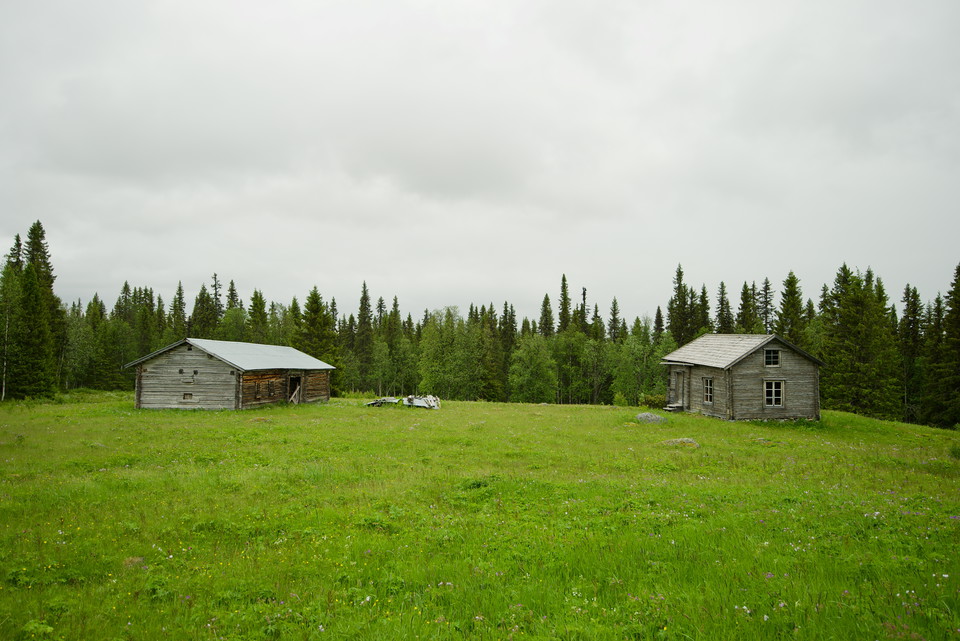 Dainanäs.
