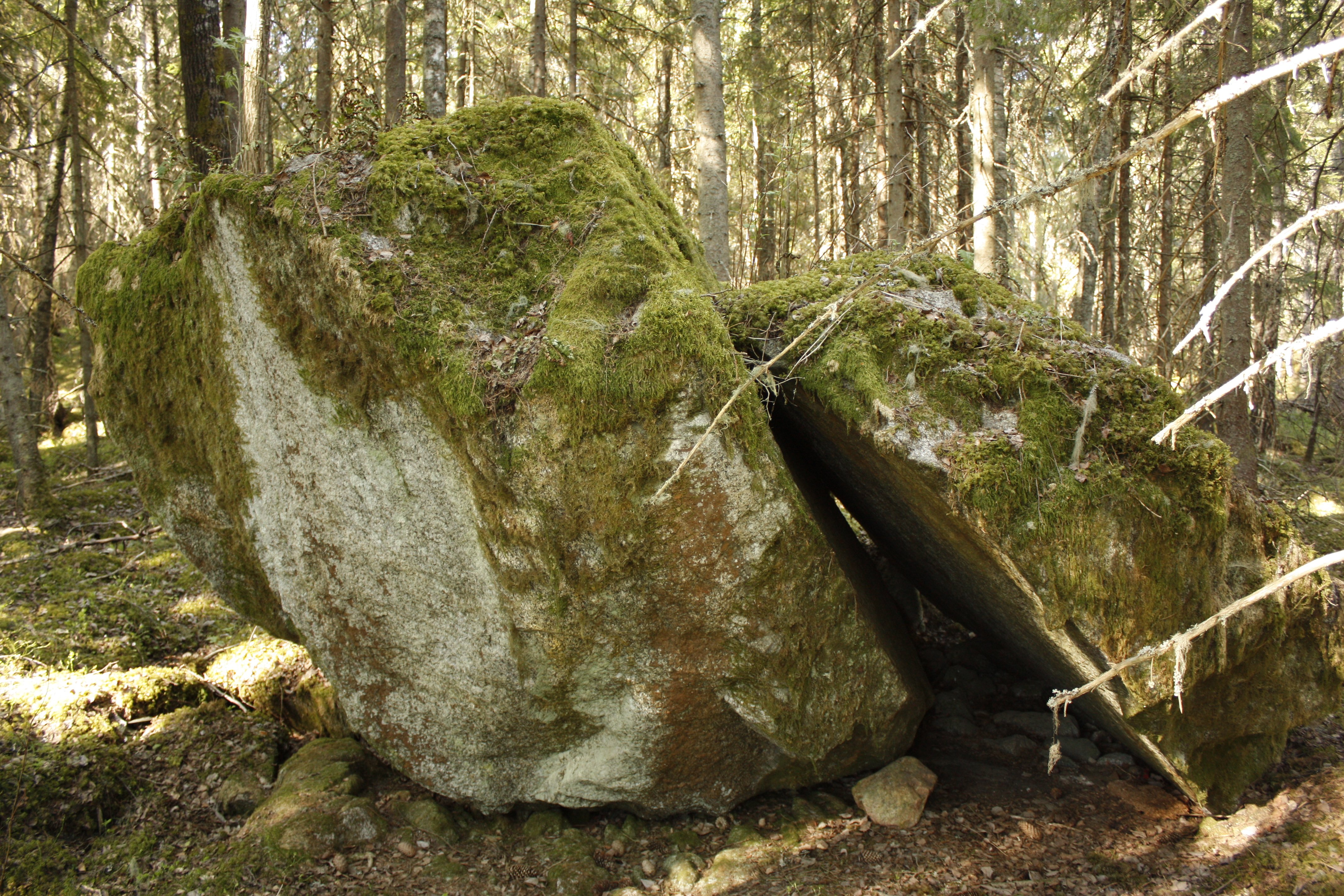 Två stora mossklädda stenblock lutar mot varandra. I bakgrunden är det tät skog.